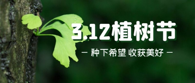 科瑪森--樹(shù)聚成林，人聚成事